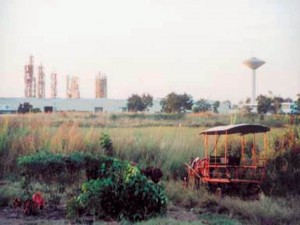 La industria citrícola de Jagüey Grande más allá de los herbazales